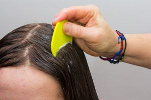 Lice Check