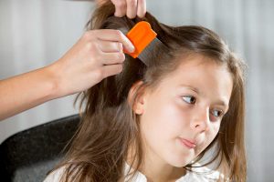 The Truth About Lice Treatments - Lice Knowing You ® | Lice Removal Salon