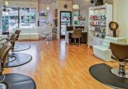 Lice Salon vs mobile unit